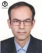 محمدمهدی استثنایی