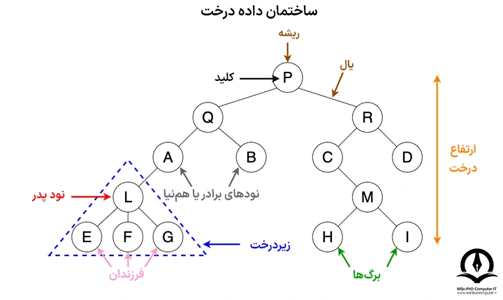 تصویر نمونه ای از ساختمان داده درخت است که اجزای درخت در آن شده است