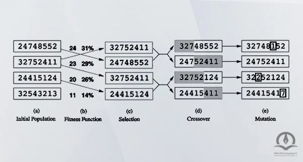 در این تصویر کل فرایند از جمعیت اولیه تا محاسبه تابع برازندگی، تا انتخاب تا ترکیب و در نهایت جهش را نشان می دهد.