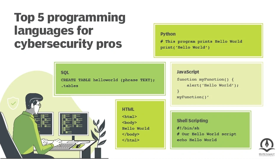 بهترین زبانهای برنامه نویسی برای افراد حرفه ای حوزه ی امنیت سایبری