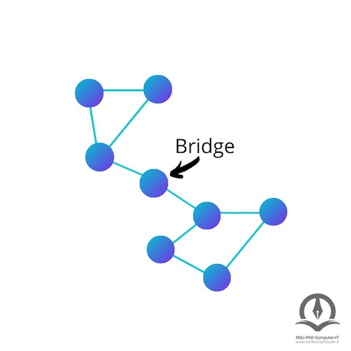 این تصویر یک پل در گراف را نشان می دهد.