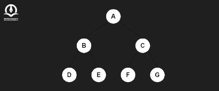 تصویری از پیمایش سطحی در درخت