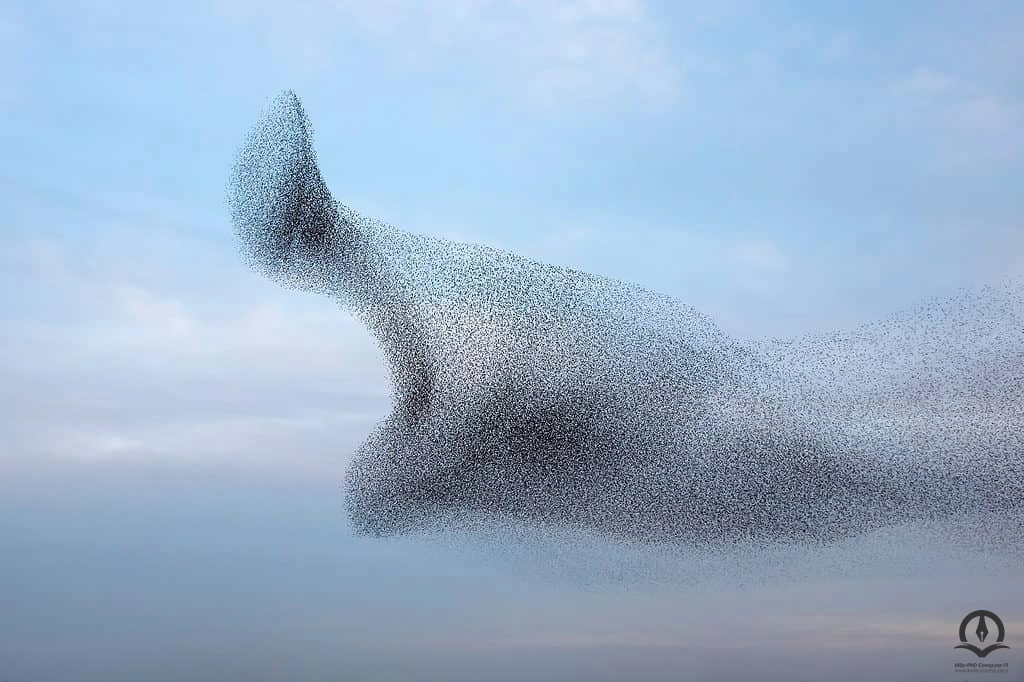 در این تصویر جمعی از پرندگان که در آسمان پرواز می کنند، نمایش داده شده و الگوریتم PSO نیز از رفتار جمعی گله پرندگان الهام گرفته شده است