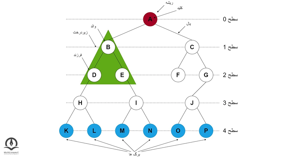 ساختار درخت و اصطلاحات پایه آن