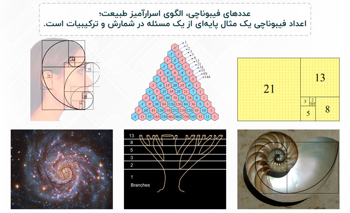 اعداد فیبوناتچی نمونه ای از کاربردهای ریاضیات گسسته در طراحی الگوریتم های کامپیوتری است