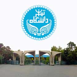 ارشد فناوری اطلاعات دانشگاه تهران