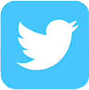 Twitter logo AI